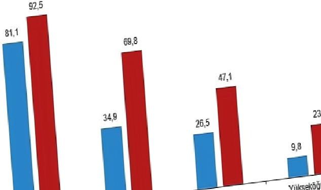 Ulusal Eğitim İstatistikleri, 2022