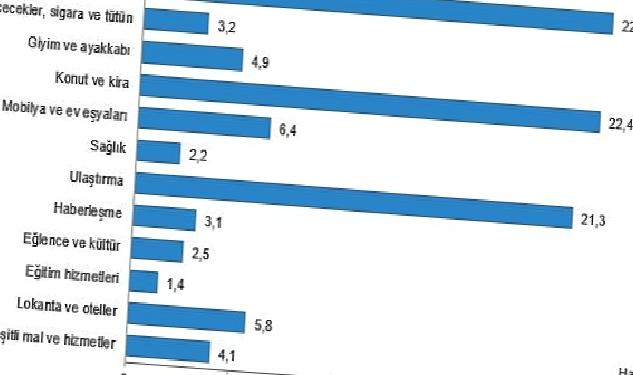 Hanehalkı bütçesinden en fazla pay gıda ve alkolsüz içecek harcamasına ayrıldı