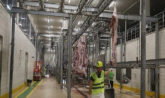 Modern kesimhanede tekbirlerle kesim yapılıyor