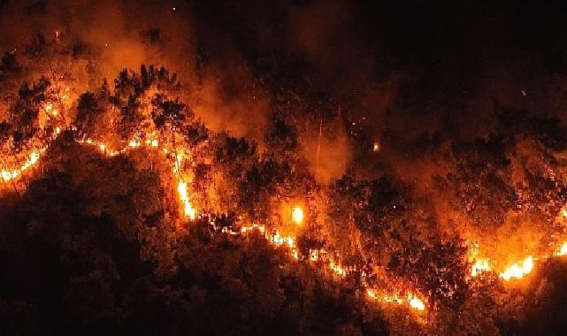 Antalya Büyükşehir Göynük yangını için seferler oldu