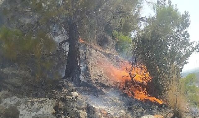 Aydın Büyükşehir Belediyesi İtfaiyesi, Söke’de ormanlık alanda çıkan yangını hızlı müdahaleyle büyümeden söndürdü