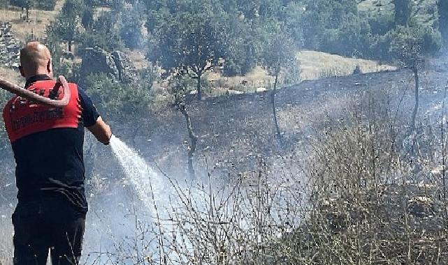 Koçarlı’daki yangın kontrol altına alındı
