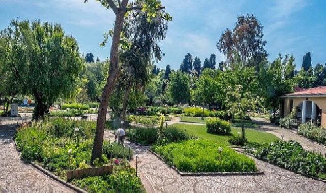 İstanbul’un Ortasında Şifa Dolu Bir Bahçe…