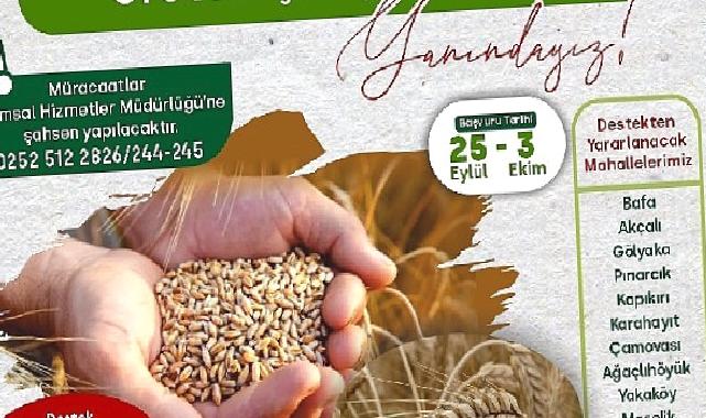 %50 Hibeli Buğday ve Tritikale Tohumu desteği başlıyor