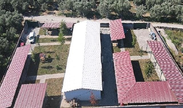 İznik Belediyesi’nden sokak hayvanlarına tam teşekküllü merkez