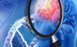 Beyin Sağlığını Güçlendiren 5 Etkili Besin