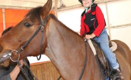 Büyükşehir’den çocuklara ücretsiz at binme