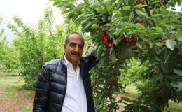 Kiraz hasat şenliğine gençler enerji kattı